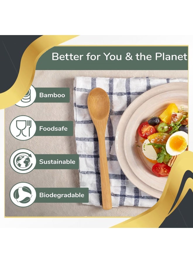 6 Piece Reusable Natural Bamboo Spoon Set,12cm Eco Friendly Condiment & Honey Spoons, Sustainable Mini Wooden Flatware for Tea, Coffee, Jam, Spices & Desserts - Image 5